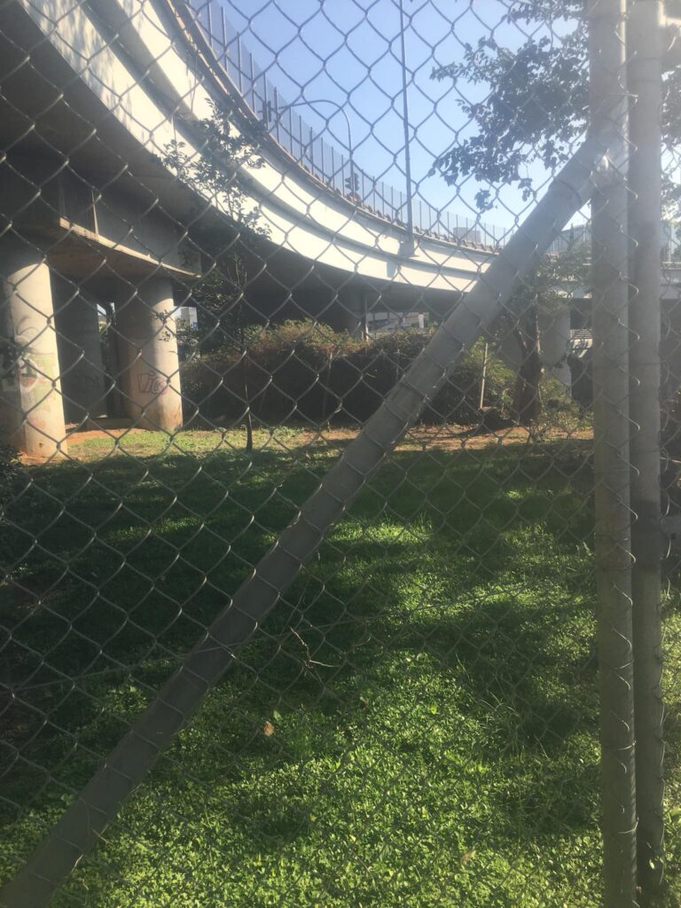 διάσωση γάτας