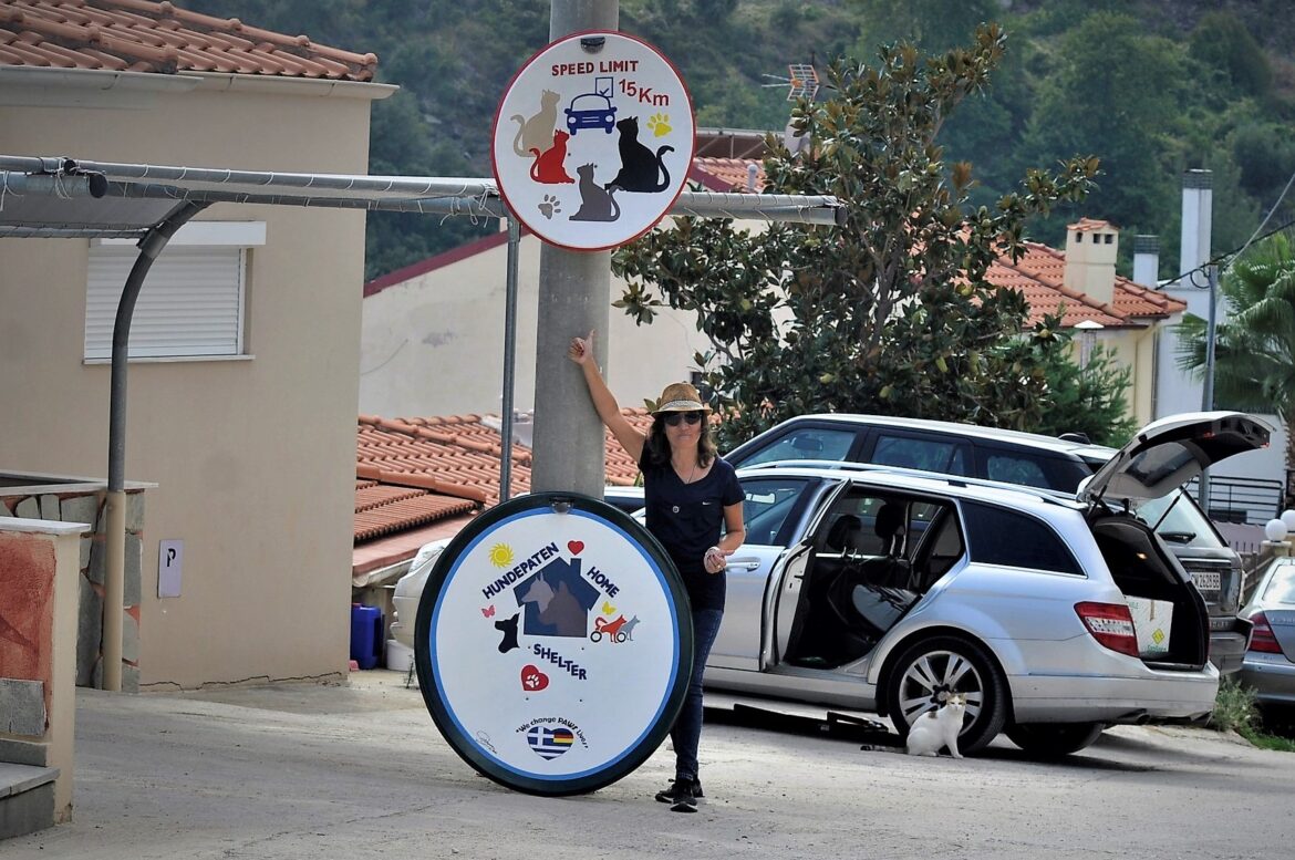 δορυφορικό πιάτο