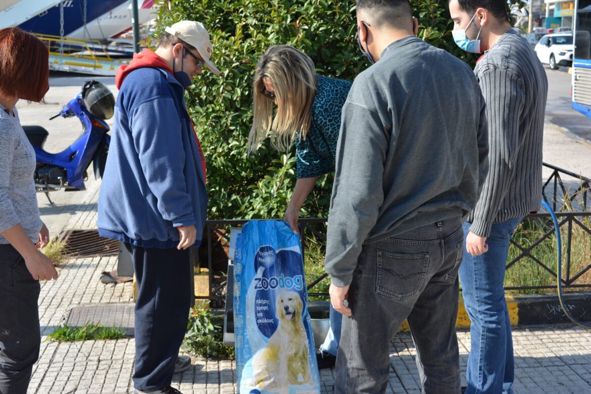 ΑΜΕΑ Σαλαμίνα