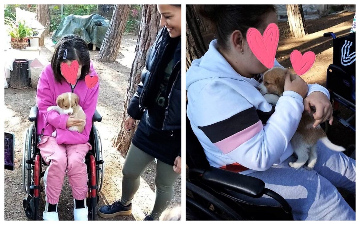 Νέα Φιλαδέλφεια καταφύγιο