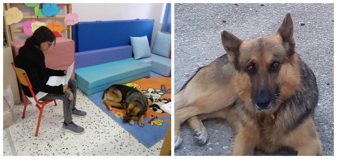 παιδιά σχολείο παιδιά σχολείο