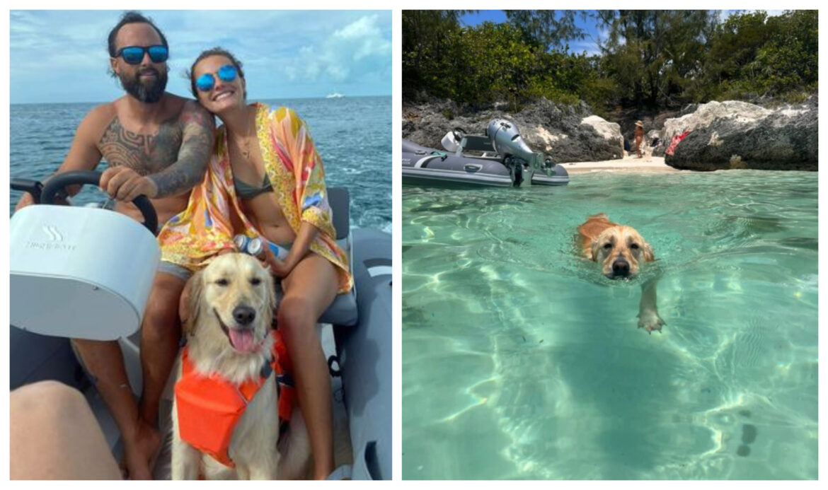 θάλασσα, σκύλος