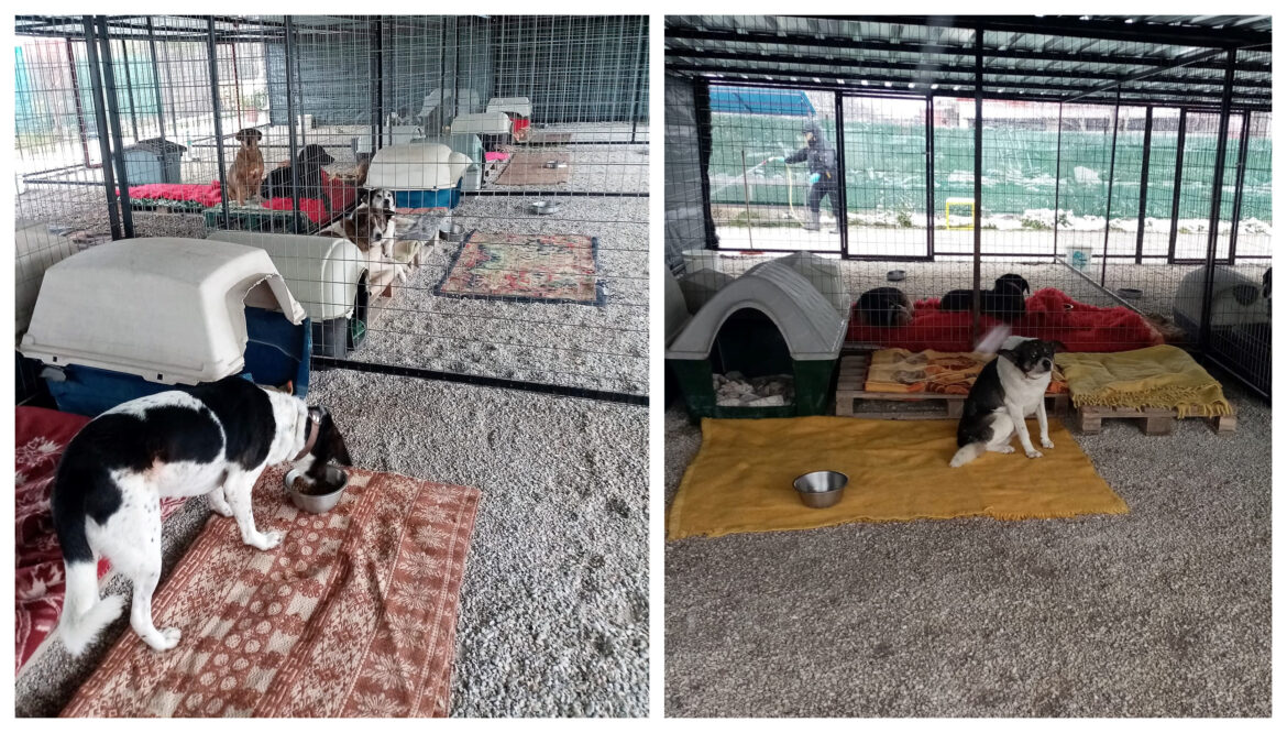 καταφύγιο-Βόλος