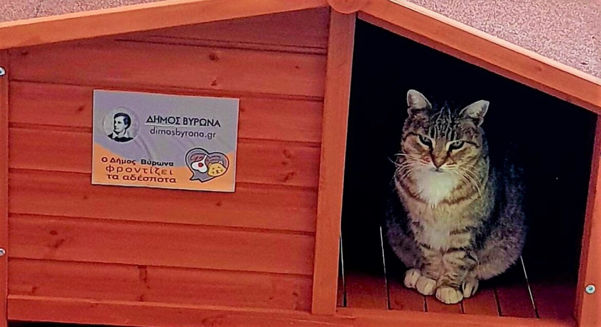 αδέσποτα- δήμος Βύρωνα